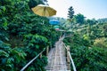 Bamboo bridge with mountain view in Pha Hi village Royalty Free Stock Photo