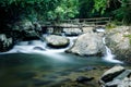 Bamboo bridge