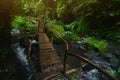 Bamboo bridge over the river in tropical forest Royalty Free Stock Photo