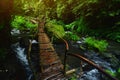 Bamboo bridge in the rain forest Royalty Free Stock Photo