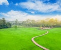 Bamboo bridge on rice field with cottage. Royalty Free Stock Photo