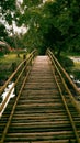 A bamboo bridge in the rural area of Bangladesh. Royalty Free Stock Photo