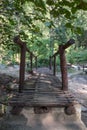 Bamboo bridge used to walk across to the green forest