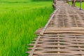 Bamboo bridge walking path on green rice field in Lampan Royalty Free Stock Photo