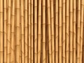 Bamboo brown texture