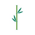 Bamboo brunch icon. Green bamboo drawing. Part of a bamboo stem with leaves. Vector illustration. Eps 10. Royalty Free Stock Photo