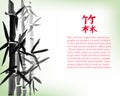 Bamboo bunch and leaves, chinese style painted card design template, background with copy space. Royalty Free Stock Photo