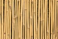 Bamboo cane texture Royalty Free Stock Photo