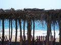Bamboo canopy on the beach