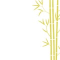 Bamboo card background template. Bamboos or bambusa plant backdrop. Space for text. Bambos yellow leaves and stalk. Decorative