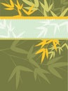 Bamboo Card Series - Green