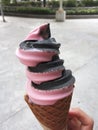 Bamboo Charcoal ice cream