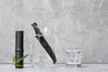 Bamboo charcoal water filter stick, green leaf and glass of water. Natural bamboo charcoal is a powerful purifier which refreshes Royalty Free Stock Photo