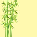 Bamboo chinese drawing printing Royalty Free Stock Photo