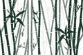 318_Chinese or Japanese bamboo grass oriental wallpaper vector illustration Royalty Free Stock Photo