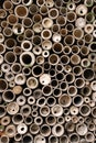 Bamboo Circles Royalty Free Stock Photo