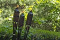 Bamboo Citronella Torch