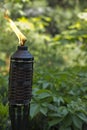 Bamboo Citronella Torch