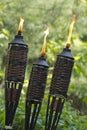 Bamboo Citronella Torch