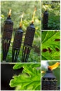Bamboo Citronella Torch