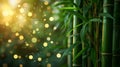 bamboo close up background with bokeh lights, large copyspace area, offcenter composition