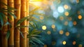 bamboo close up background with bokeh lights, large copyspace area, offcenter composition