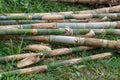 Bamboo closeup background Royalty Free Stock Photo