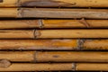 Bamboo closeup Royalty Free Stock Photo