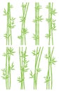 Bamboo collection set. Vector