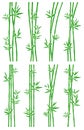 Bamboo collection set. Vector