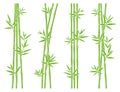 Bamboo collection set. Vector