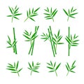 Bamboo collection set. Vector