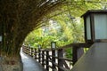 Bamboo covered pathway