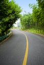 Bamboo and curved road