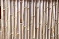 Bamboo cut in half and make a wall Royalty Free Stock Photo