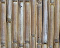 Bamboo cut wall with nail background Royalty Free Stock Photo