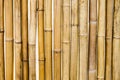 Bamboo dry yellow segment pattern Royalty Free Stock Photo