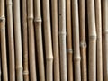Bamboo Fence Royalty Free Stock Photo