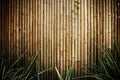 Bamboo fence Royalty Free Stock Photo