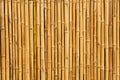 Bamboo fence background Royalty Free Stock Photo