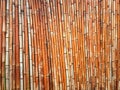 Bamboo fence background. Bamboo stalks lined up in a row. Royalty Free Stock Photo