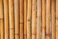 Bamboo fence background,Bamboo wall textures,abstract nature Royalty Free Stock Photo