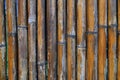 Bamboo fence Royalty Free Stock Photo