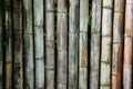 Bamboo fence background texture Royalty Free Stock Photo