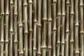 Bamboo fence backgrounds. abstract pattern