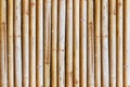 bamboo fence