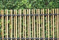 Bamboo fence and green tree,Natural wall background Royalty Free Stock Photo