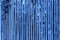 Bamboo fence with greens for background in tropical country toned in blue color Royalty Free Stock Photo