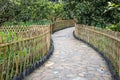 A bamboo fence path