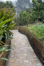 A bamboo fence path